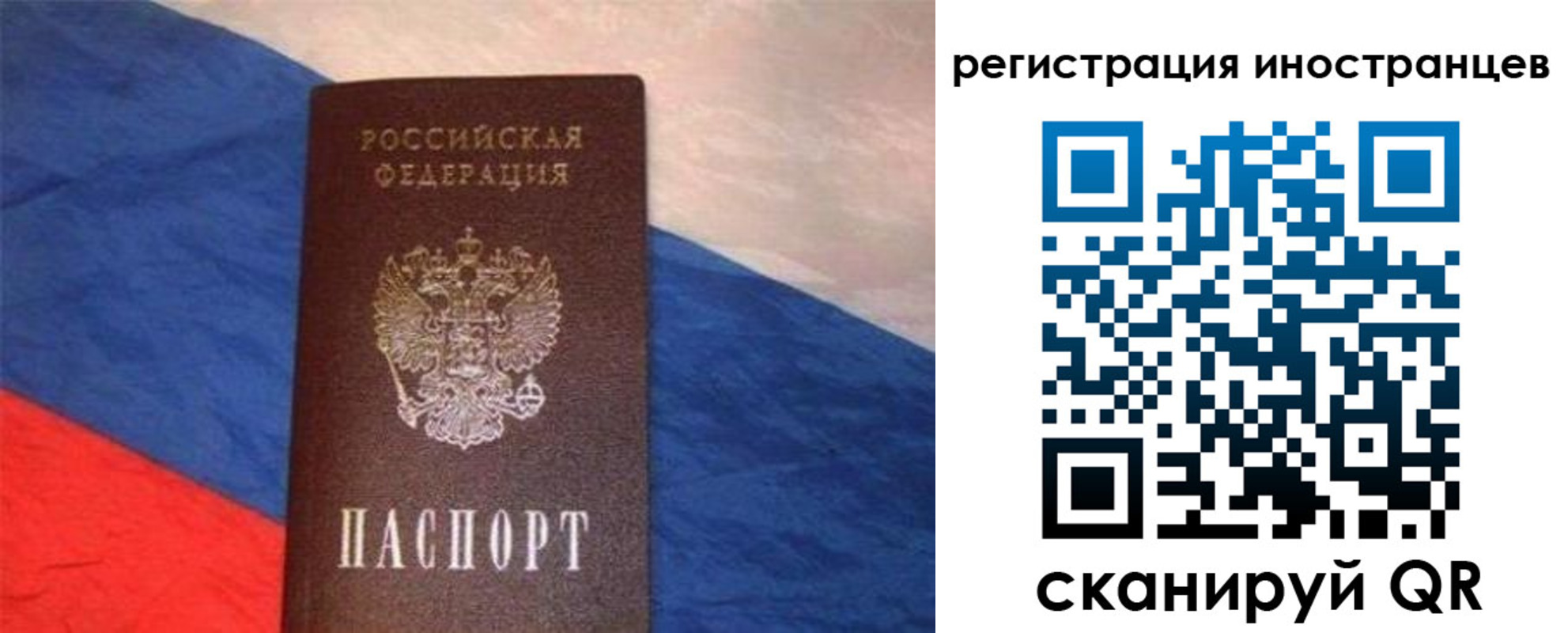 прописка в Александровске